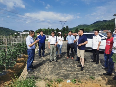 遵義市農(nóng)業(yè)農(nóng)村局 以技術(shù)服務(wù)為抓手，賦能現(xiàn)代農(nóng)業(yè)高質(zhì)量發(fā)展